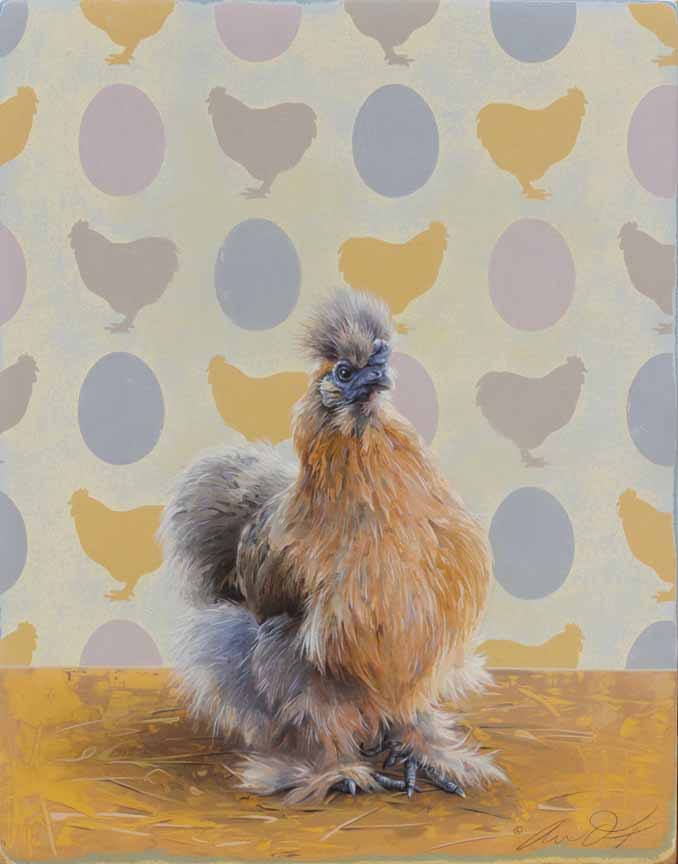 AD – Marco Polo – Buff Silkie © Andrew Denman