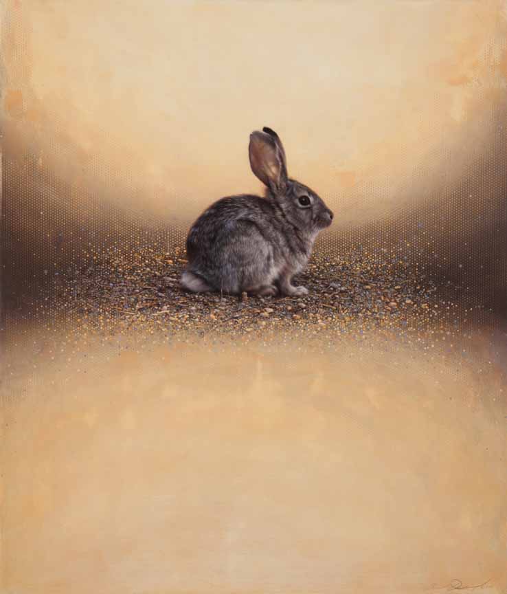 AD – Our Bunny of the Morning Sun © Andrew Denman