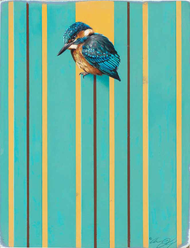 AD – Pinstripe – Kingfisher © Andrew Denman