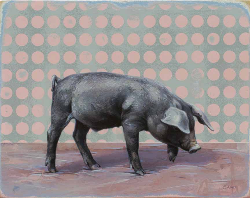 AD – This Little Piggy – Black Piglet © Andrew Denman