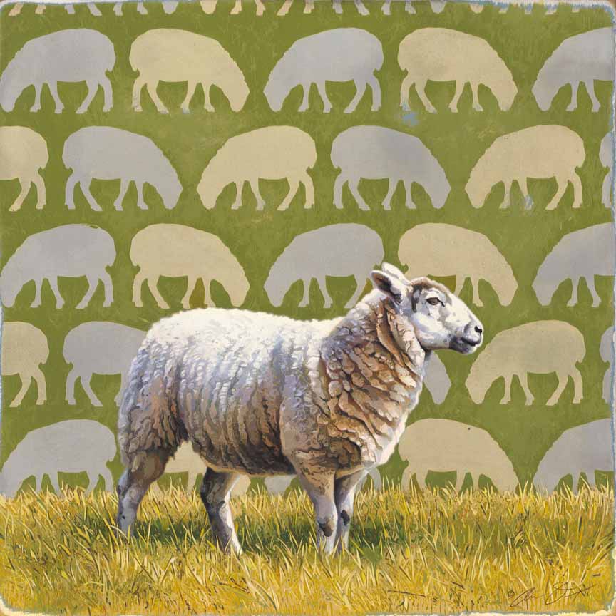 AD – White on Green – Sheep © Andrew Denman
