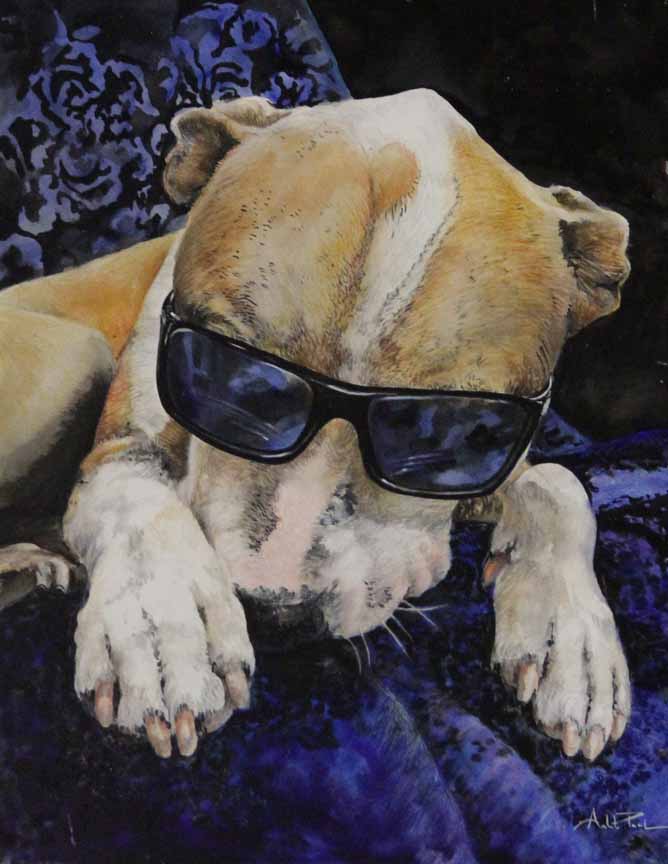 AP – Cool Dog © Arleta Pech