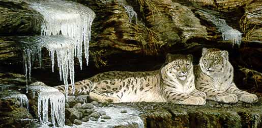 AS2 – Wildlife – Ice Castle – Snow Leopards © Alan Sakhavarz
