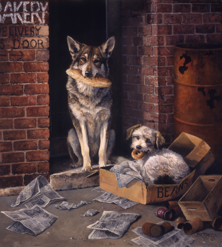 BM – Alley Dogs © Bonnie Marris