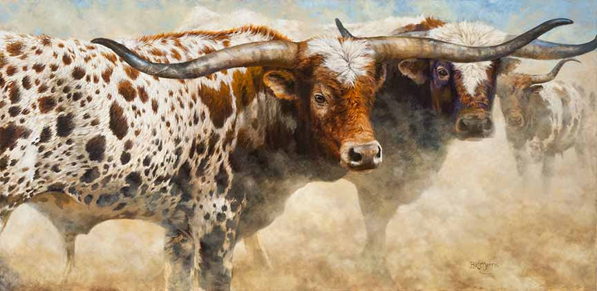 BM – Cattle Curiosity © Bonnie Marris