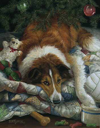 BM – Christmas Collie © Bonnie Marris