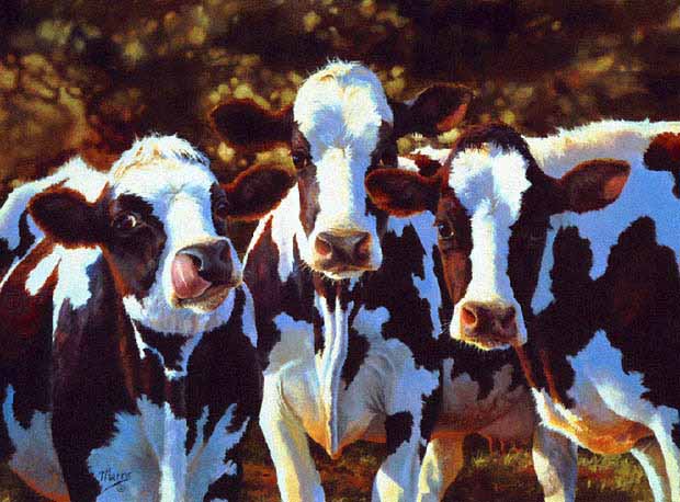 BM – Dairy Queens © Bonnie Marris