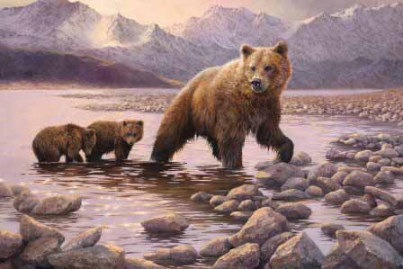 BM – Grizzly Family © Bonnie Marris