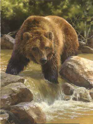 BM – Grizzly at Roaring Creek © Bonnie Marris