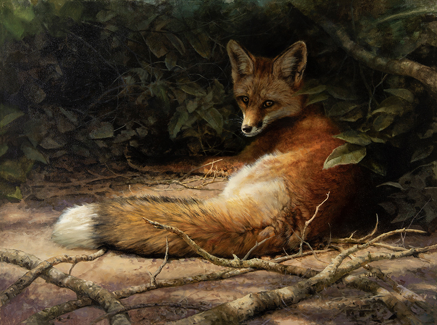 BM – The Fox © Bonnie Marris