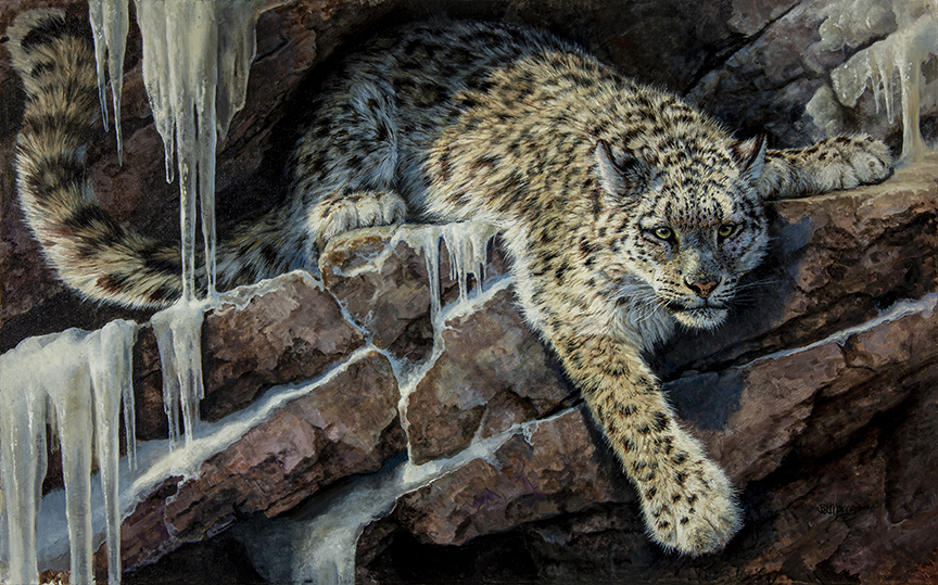 BM – The Snow Leopard © Bonnie Marris