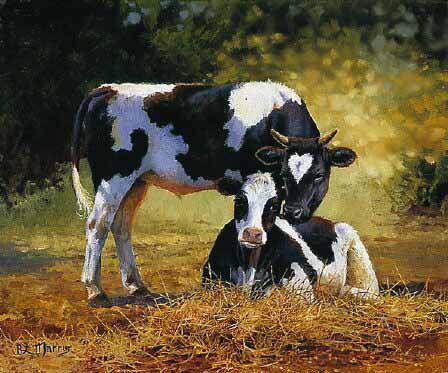 BM – Two Cows (Untitled 43) © Bonnie Marris