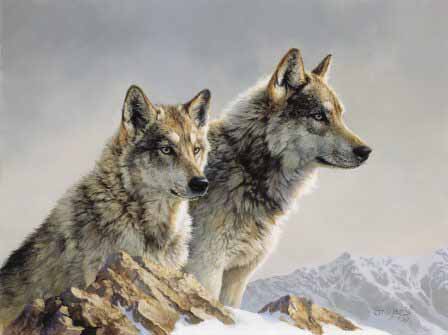 BM – Two Wolves © Bonnie Marris