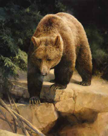 BM – Untitled Marris Bear 2 © Bonnie Marris