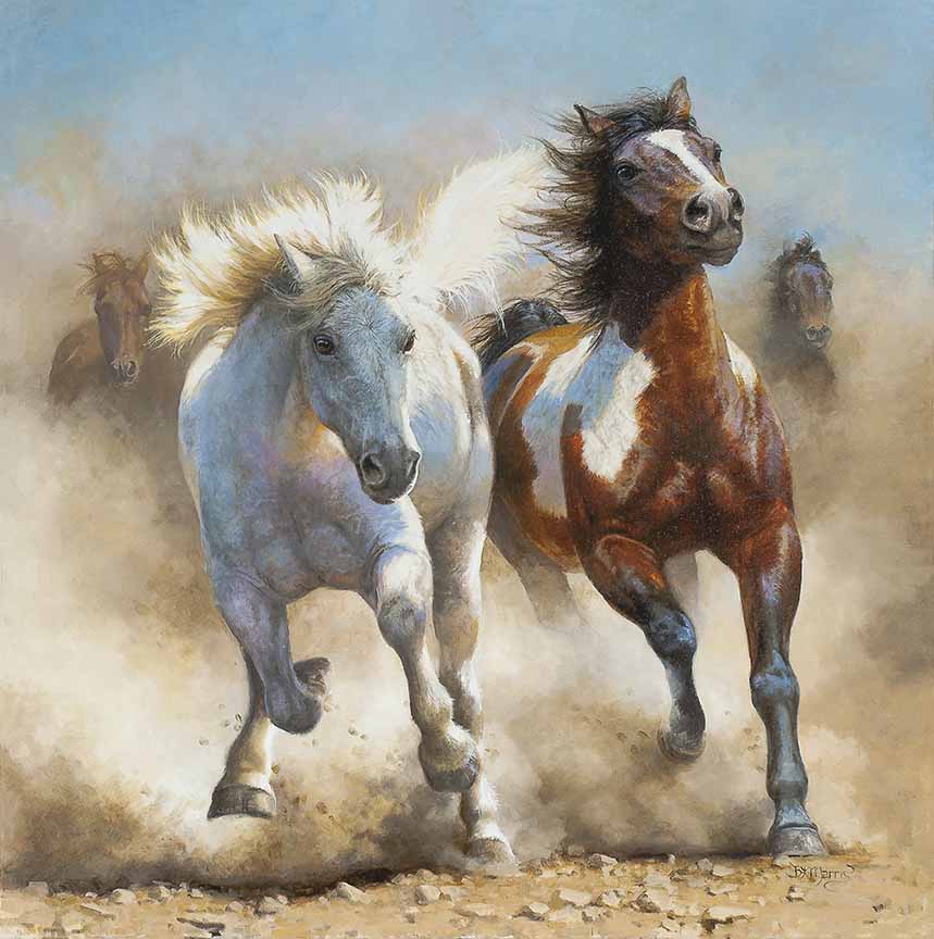 BM – Wild Horses © Bonnie Marris