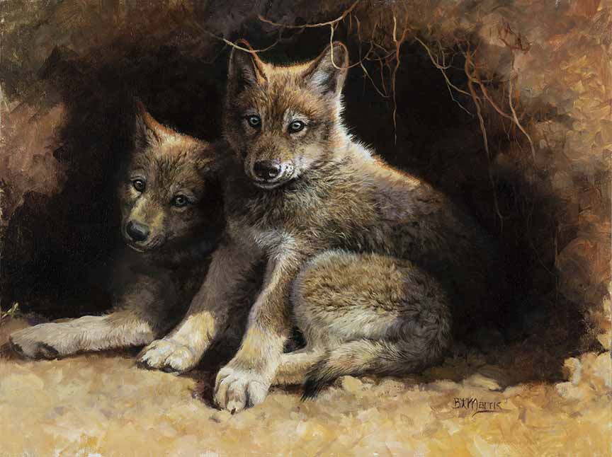 BM – Wolf Children © Bonnie Marris