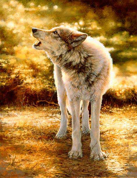 BM – Wolf Song © Bonnie Marris
