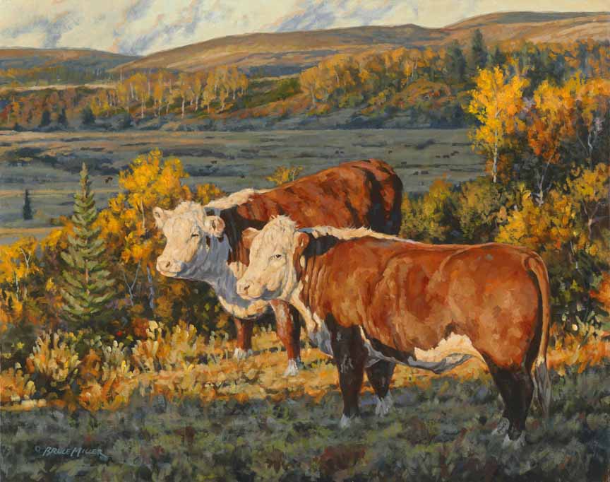 BM2 – Cattle Country © Bruce Miller