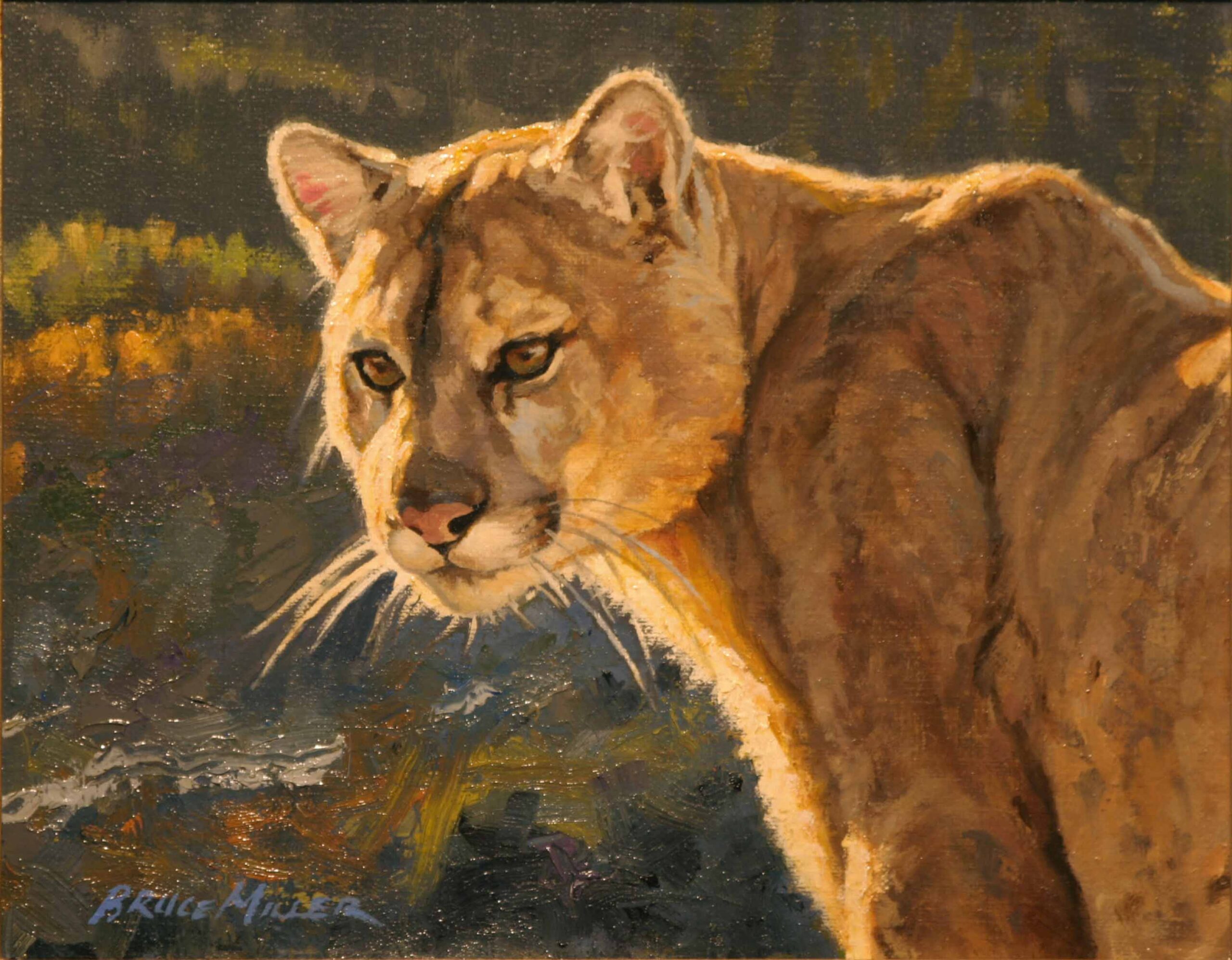 BM2 – Cougar Lookout © Bruce Miller
