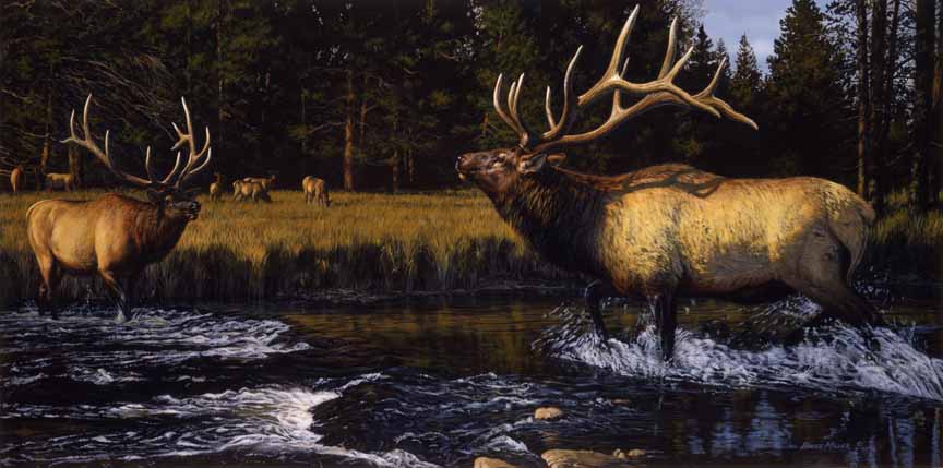BM2 – Elk Crossing © Bruce Miller