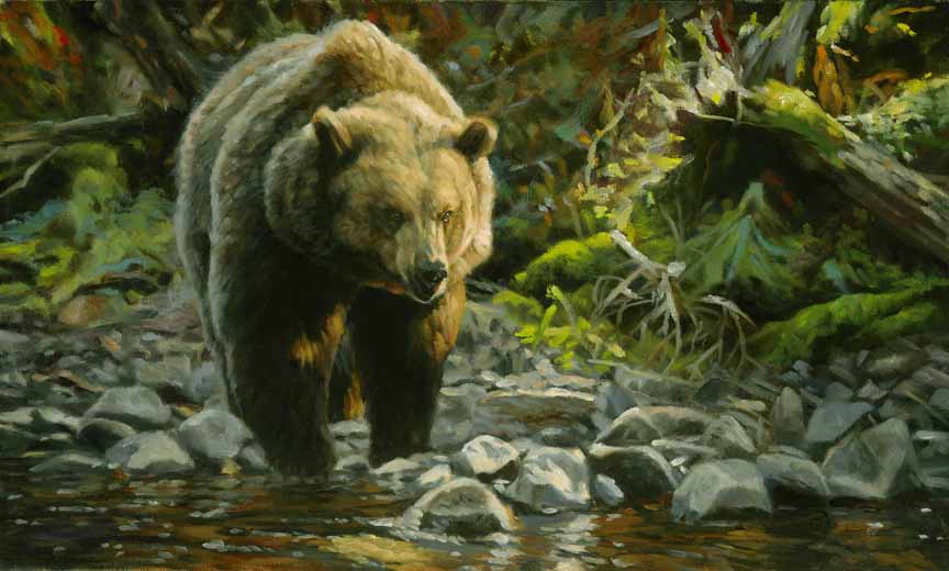 BM2 – Grizzly Crossing © Bruce Miller