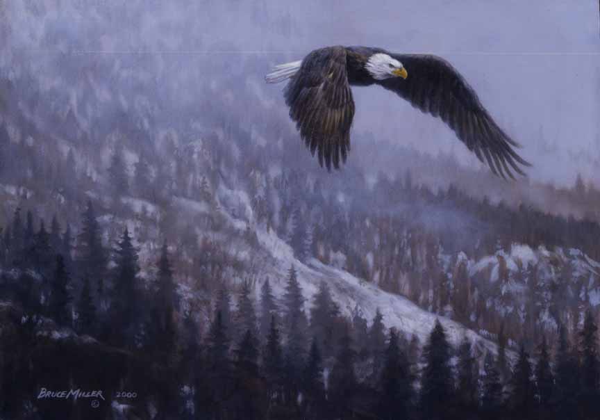 BM2 – Mountain Flight – Eagle © Bruce Miller