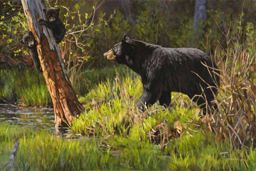 BM2 – Spring Bears © Bruce Miller