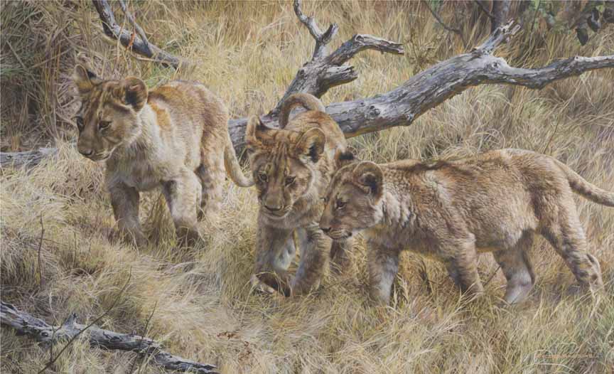 CB – Lion Cubs © Carl Brenders