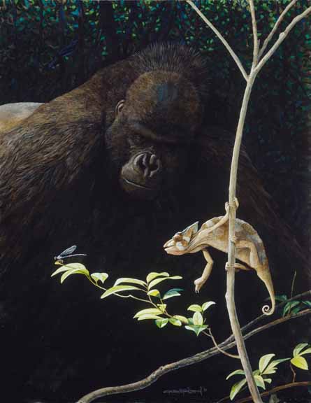 CPBvK – Biophilia – Crested Chameleon and Western Lowland Gorilla © Carel Pieter Brest van Kempen