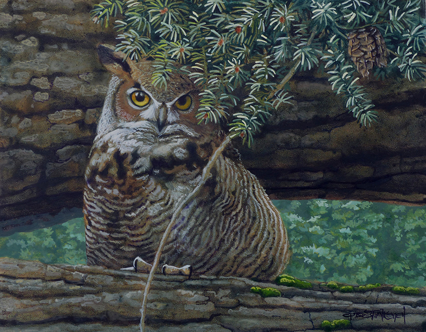 CPBvK – Great Horned Owl © Carel Pieter Brest van Kempen