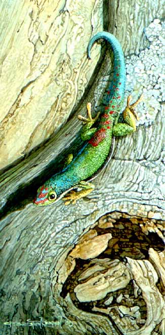 CPBvK – Reunion Limed Day Gecko © Carel Pieter Brest van Kempen