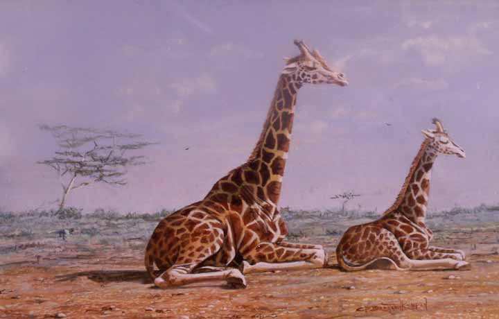 CPBvK – Rothschild-Giraffes © Carel Pieter Brest van Kempen