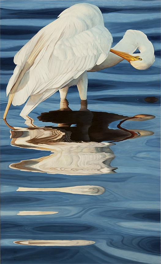 DK – Egret in Water © David Kiehm