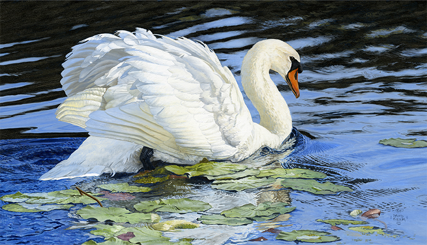 DK – Silent Swan © David Kiehm