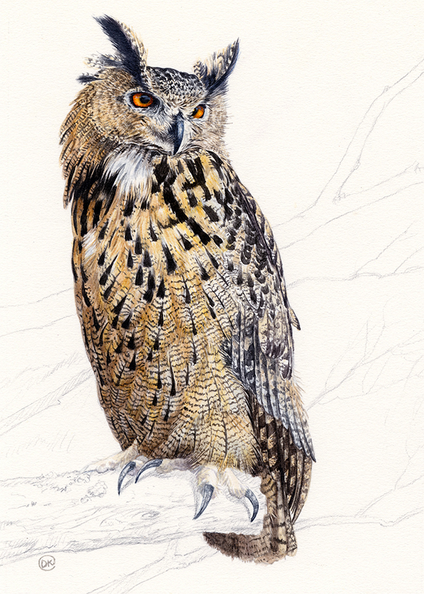 DK – zVignette – Eagle Owl © David Kiehm