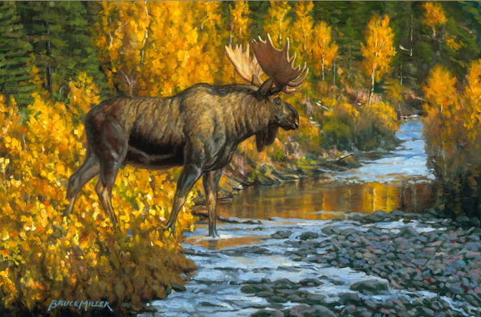 BM2 – Moose Creek © Bruce Miller