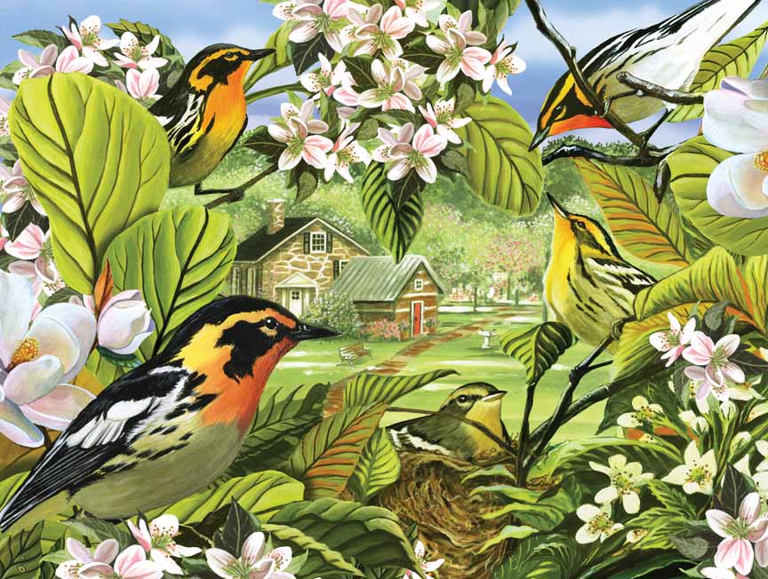 CHIC – Blackburnian Warblers © Cobble Hill Puzzle Company