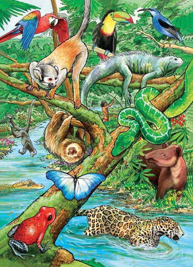 CHIC – Life in a Tropical Rainforest 58812 © Cobble Hill Puzzle Company