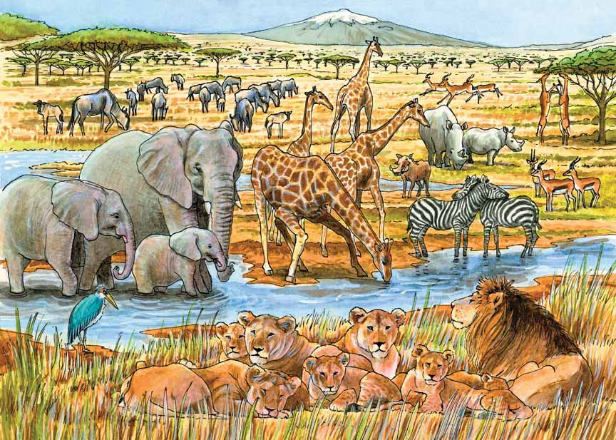 CHIC – Out of Africa 58813 © Cobble Hill Puzzle Company