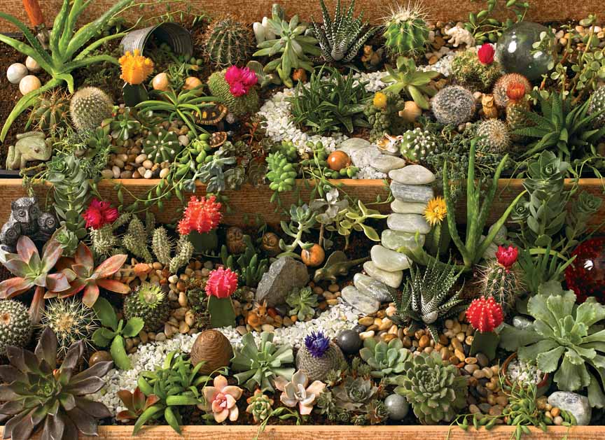 CHIC – Succulent Garden 80175 © Cobble Hill Puzzle Company