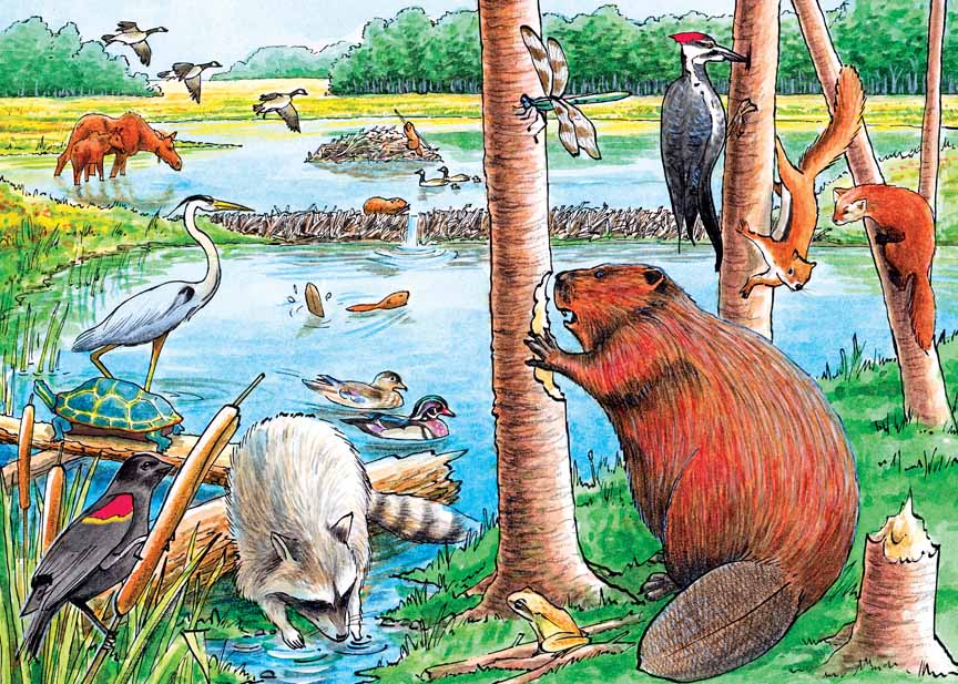 CHIC – The Beaver Pond 58802 © Cobble Hill Puzzle Company