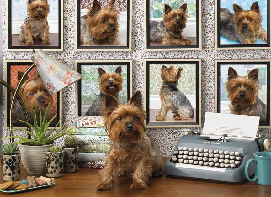 CHIC – Yorkies are My Type 80038 © Cobble Hill Puzzle Company