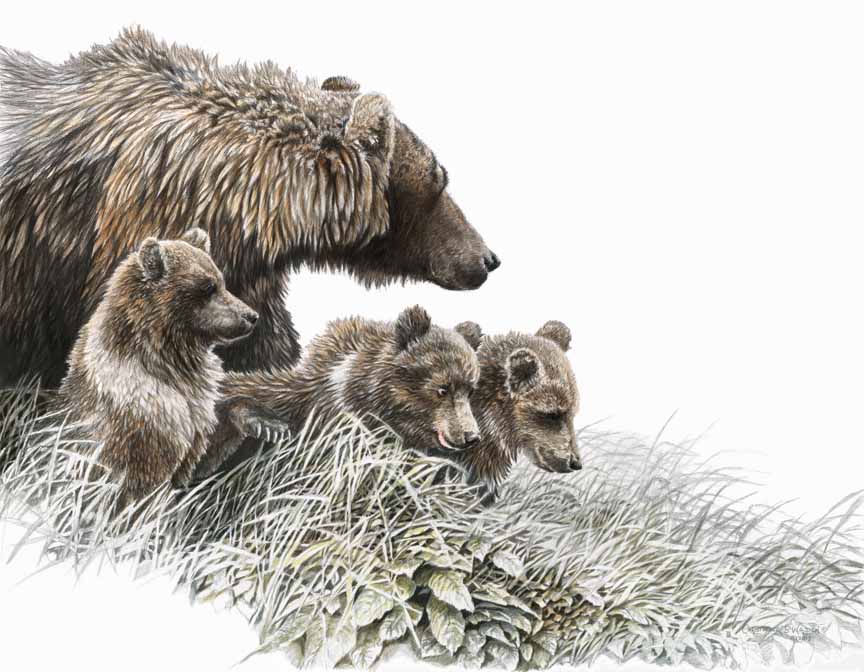 CW – Bear with Three Cubs © Christopher Walden