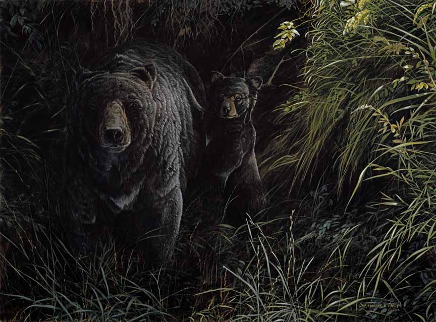 CW – Bearly There © Christopher Walden