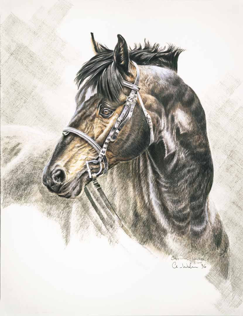 CW – Horse Sketch © Christopher Walden