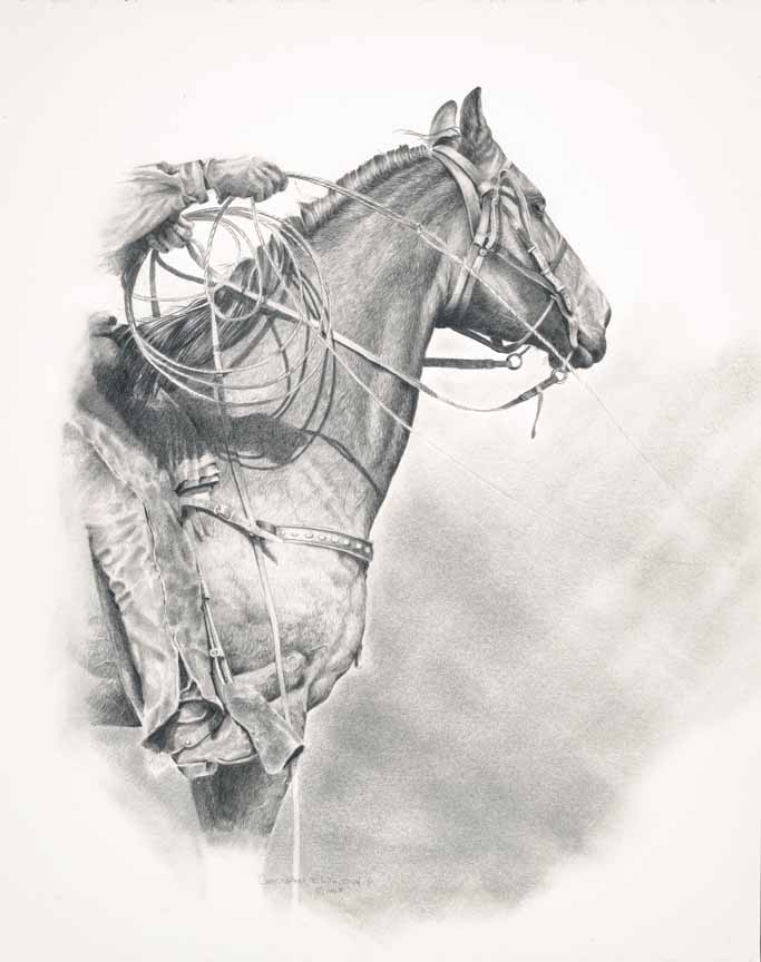 CW – Horse © Christopher Walden