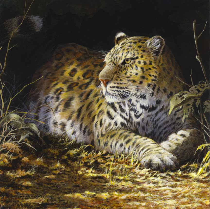 CW – Leopard © Christopher Walden
