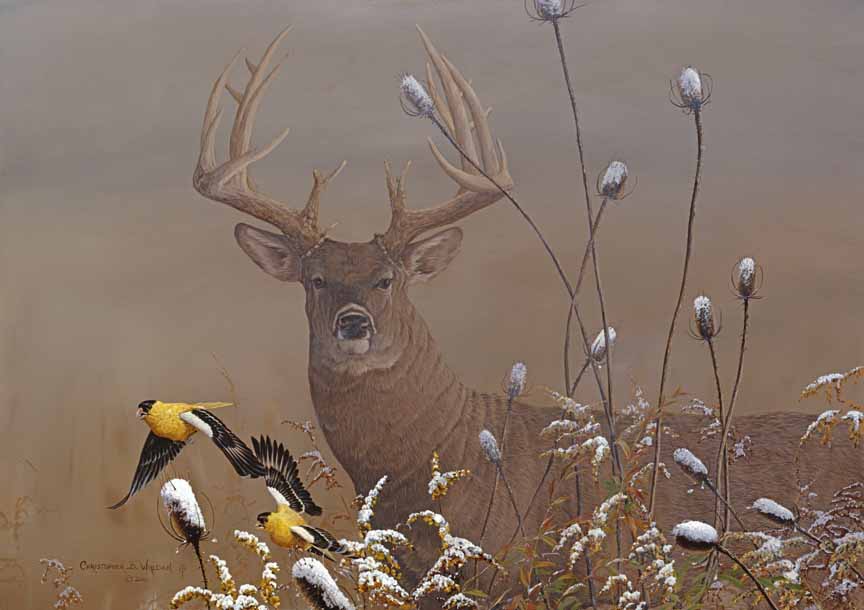 CW – Passing the Buck © Christopher Walden