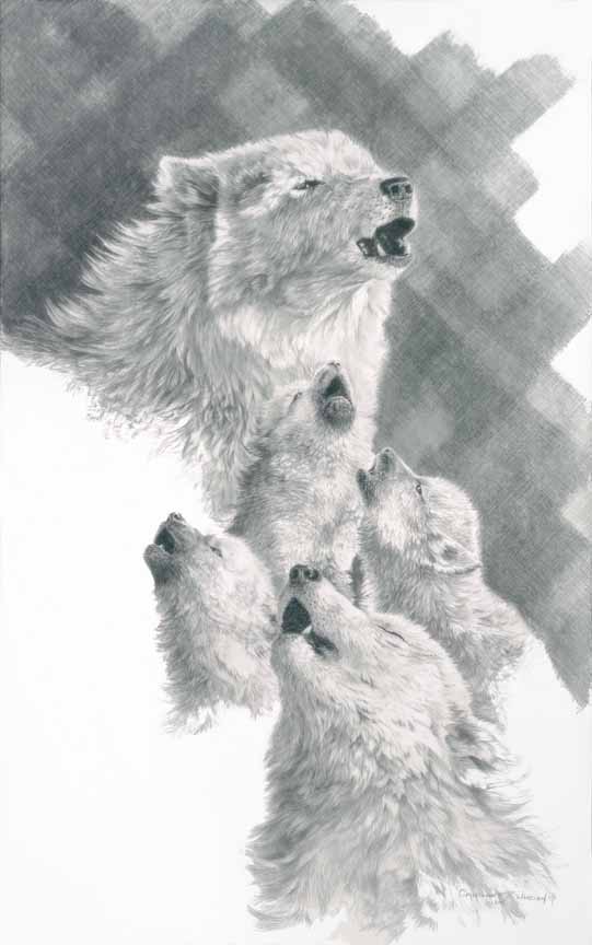 CW – Wolf Family Sketch © Christopher Walden