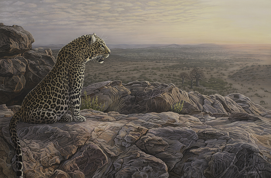 CJ2 – A Leopards World © Clinton Jammer